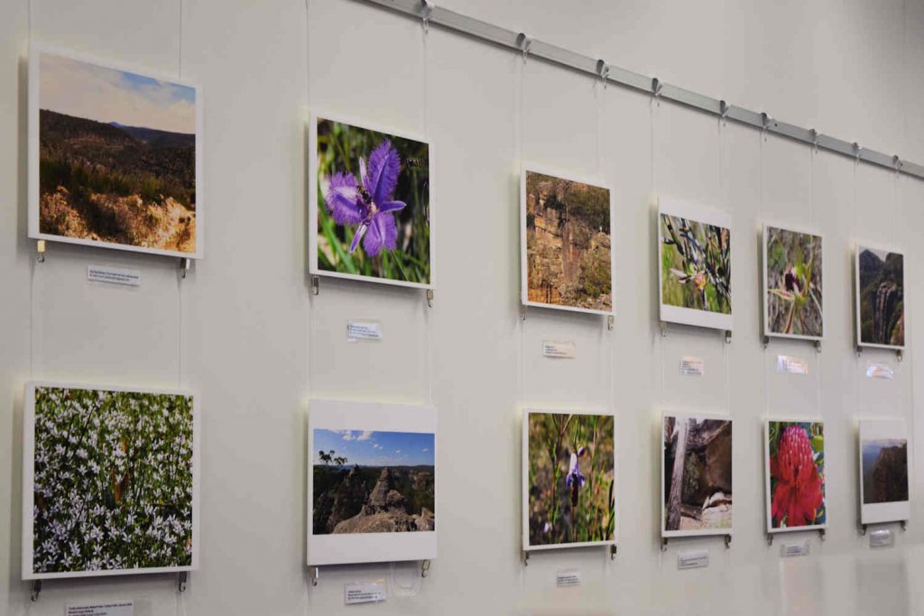 Natural landscapes exhibition