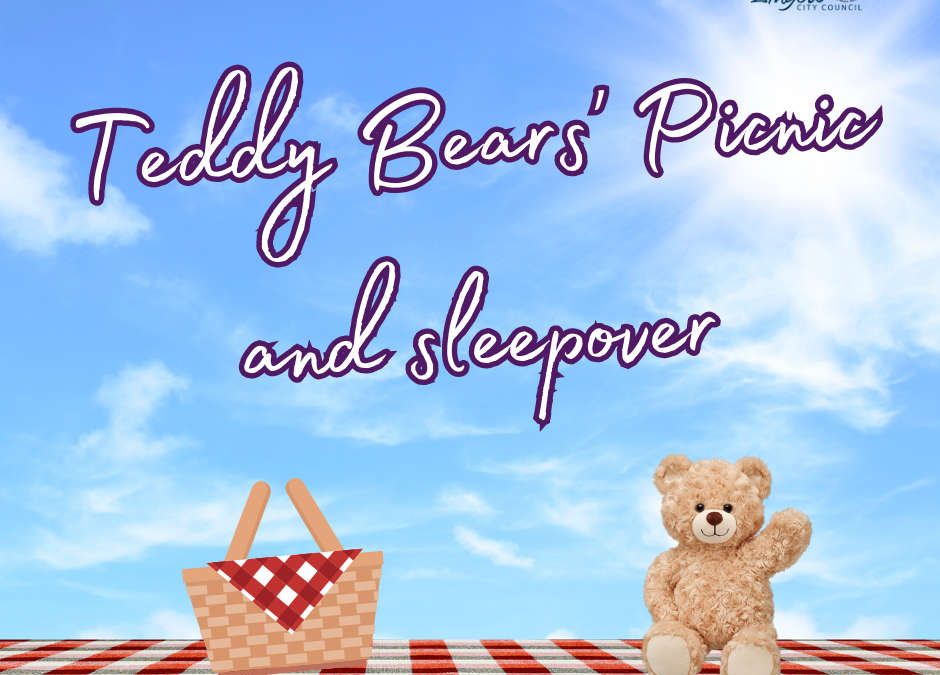 Teddy Bear Picnic/Sleepover at the Library